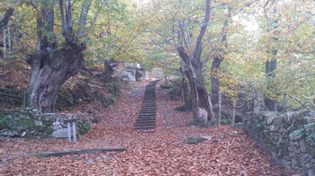 foto01.jpg